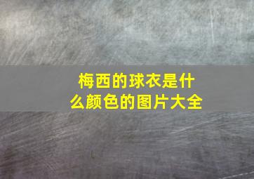 梅西的球衣是什么颜色的图片大全