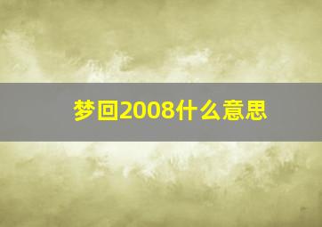 梦回2008什么意思