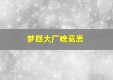 梦回大厂啥意思