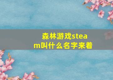 森林游戏steam叫什么名字来着