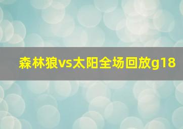 森林狼vs太阳全场回放g18