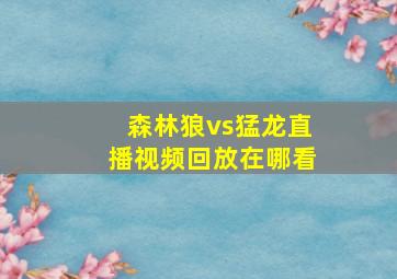 森林狼vs猛龙直播视频回放在哪看