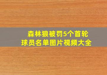 森林狼被罚5个首轮球员名单图片视频大全