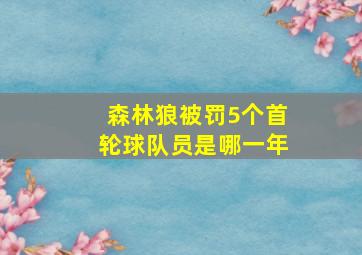 森林狼被罚5个首轮球队员是哪一年