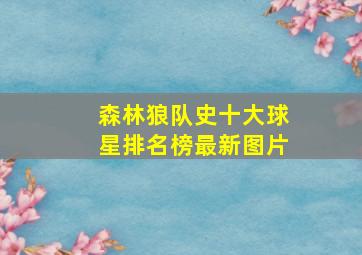 森林狼队史十大球星排名榜最新图片