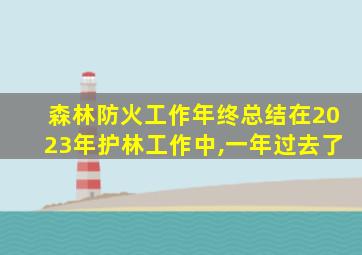 森林防火工作年终总结在2023年护林工作中,一年过去了