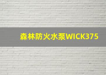 森林防火水泵WICK375