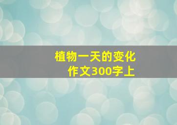 植物一天的变化作文300字上