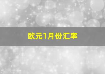 欧元1月份汇率