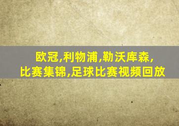 欧冠,利物浦,勒沃库森,比赛集锦,足球比赛视频回放