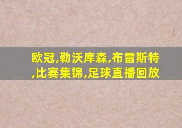 欧冠,勒沃库森,布雷斯特,比赛集锦,足球直播回放