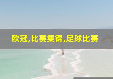 欧冠,比赛集锦,足球比赛