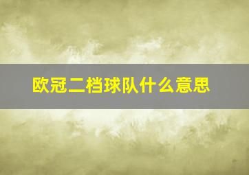 欧冠二档球队什么意思