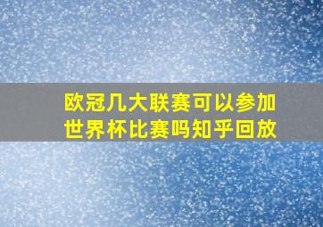 欧冠几大联赛可以参加世界杯比赛吗知乎回放