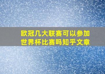 欧冠几大联赛可以参加世界杯比赛吗知乎文章