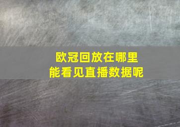 欧冠回放在哪里能看见直播数据呢