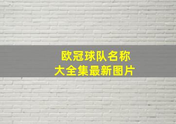 欧冠球队名称大全集最新图片