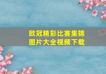 欧冠精彩比赛集锦图片大全视频下载