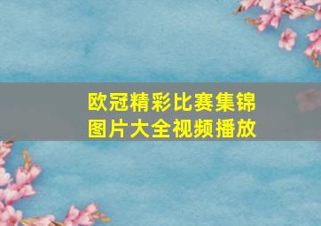 欧冠精彩比赛集锦图片大全视频播放