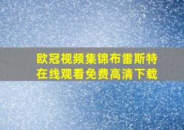 欧冠视频集锦布雷斯特在线观看免费高清下载