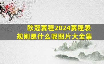 欧冠赛程2024赛程表规则是什么呢图片大全集