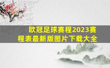 欧冠足球赛程2023赛程表最新版图片下载大全