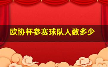 欧协杯参赛球队人数多少