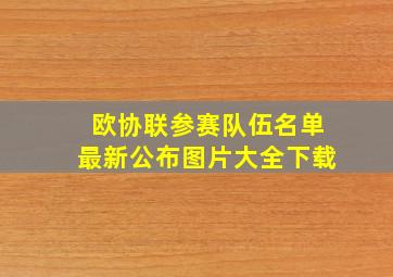 欧协联参赛队伍名单最新公布图片大全下载