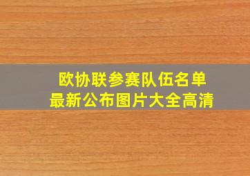 欧协联参赛队伍名单最新公布图片大全高清