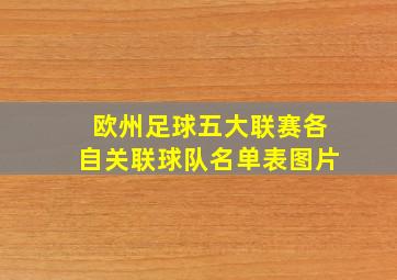 欧州足球五大联赛各自关联球队名单表图片