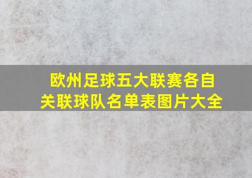 欧州足球五大联赛各自关联球队名单表图片大全