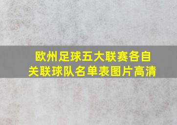 欧州足球五大联赛各自关联球队名单表图片高清