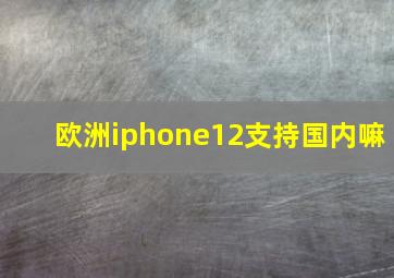 欧洲iphone12支持国内嘛