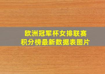 欧洲冠军杯女排联赛积分榜最新数据表图片