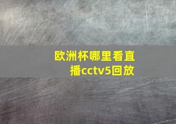 欧洲杯哪里看直播cctv5回放