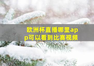 欧洲杯直播哪里app可以看到比赛视频