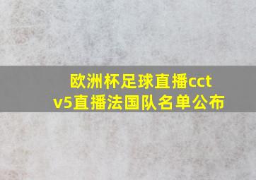 欧洲杯足球直播cctv5直播法国队名单公布