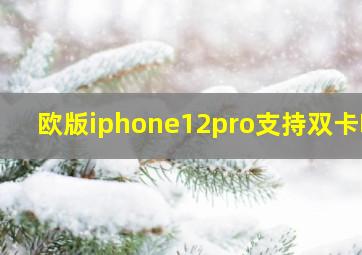 欧版iphone12pro支持双卡吗