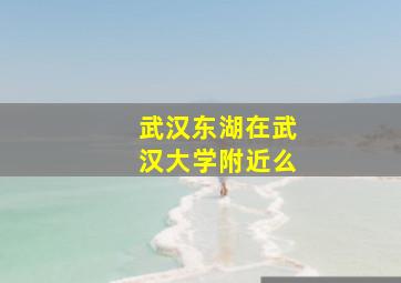 武汉东湖在武汉大学附近么