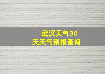 武汉天气30天天气预报查询