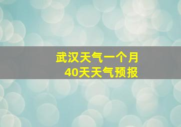 武汉天气一个月40天天气预报