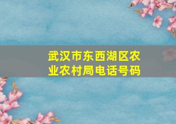 武汉市东西湖区农业农村局电话号码