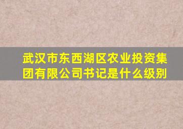 武汉市东西湖区农业投资集团有限公司书记是什么级别