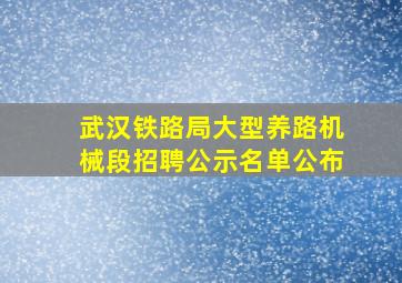 武汉铁路局大型养路机械段招聘公示名单公布