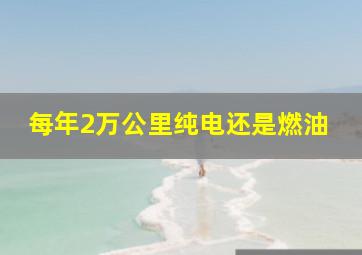 每年2万公里纯电还是燃油