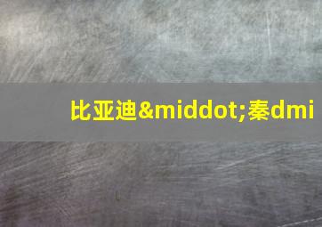 比亚迪·秦dmi