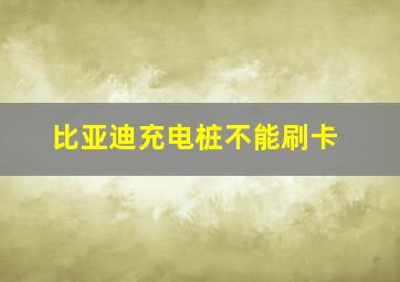 比亚迪充电桩不能刷卡