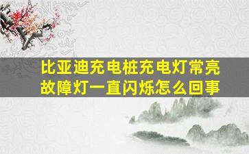 比亚迪充电桩充电灯常亮故障灯一直闪烁怎么回事