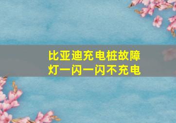 比亚迪充电桩故障灯一闪一闪不充电