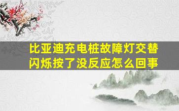 比亚迪充电桩故障灯交替闪烁按了没反应怎么回事